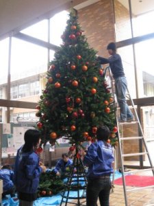 大学の校内にも大きなクリスマスツリーが。 大学の校内にも大きなクリスマスツリーが。