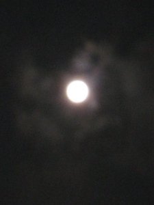 十五夜 十五夜