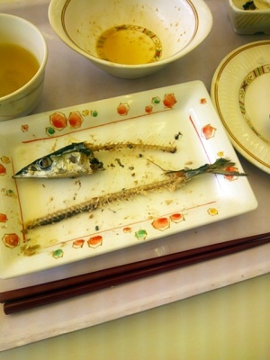 1029サンマの内蔵
