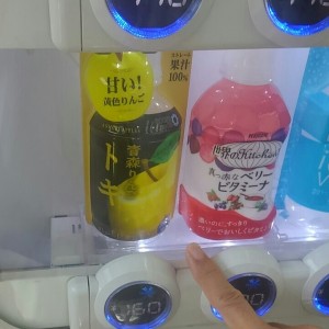 0603トキを見つけた! 0603トキを見つけた!
