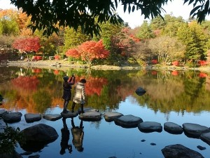 20171128日本庭園