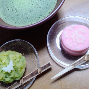 20220207抹茶 20220207抹茶