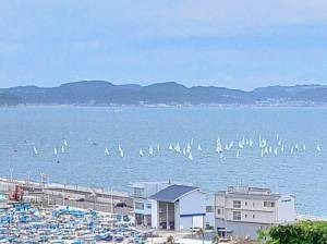 20230715ヨットレース 20230715ヨットレース