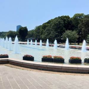 20230726噴水 20230726噴水