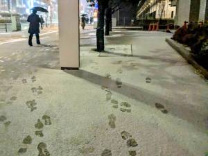 20250305雪 20250305雪