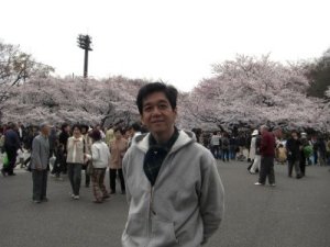 上野の桜
