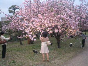 浜離宮にて
