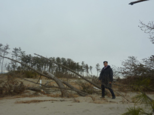 0109北釜海岸の防風林