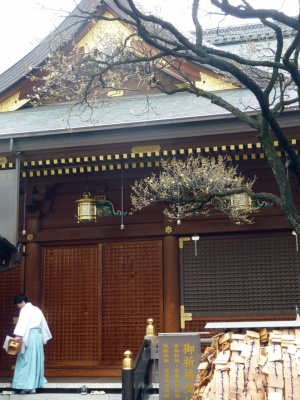 0215湯島天神の梅